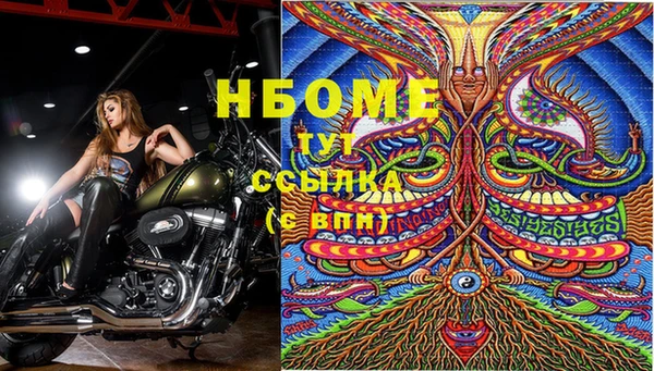 амф Алексин