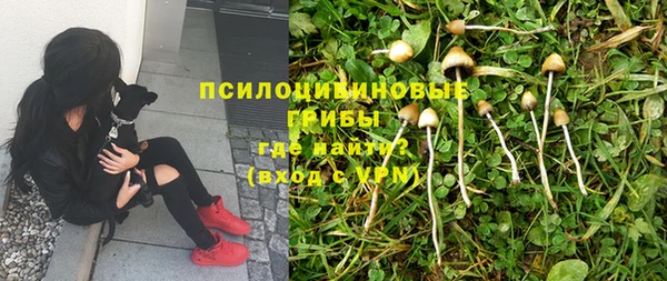кокаин колумбия Алзамай