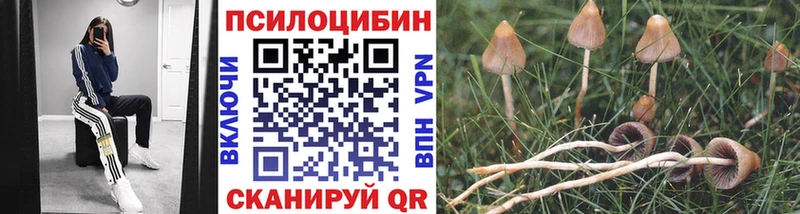 Псилоцибиновые грибы MAGIC MUSHROOMS  что такое наркотик  Мышкин 